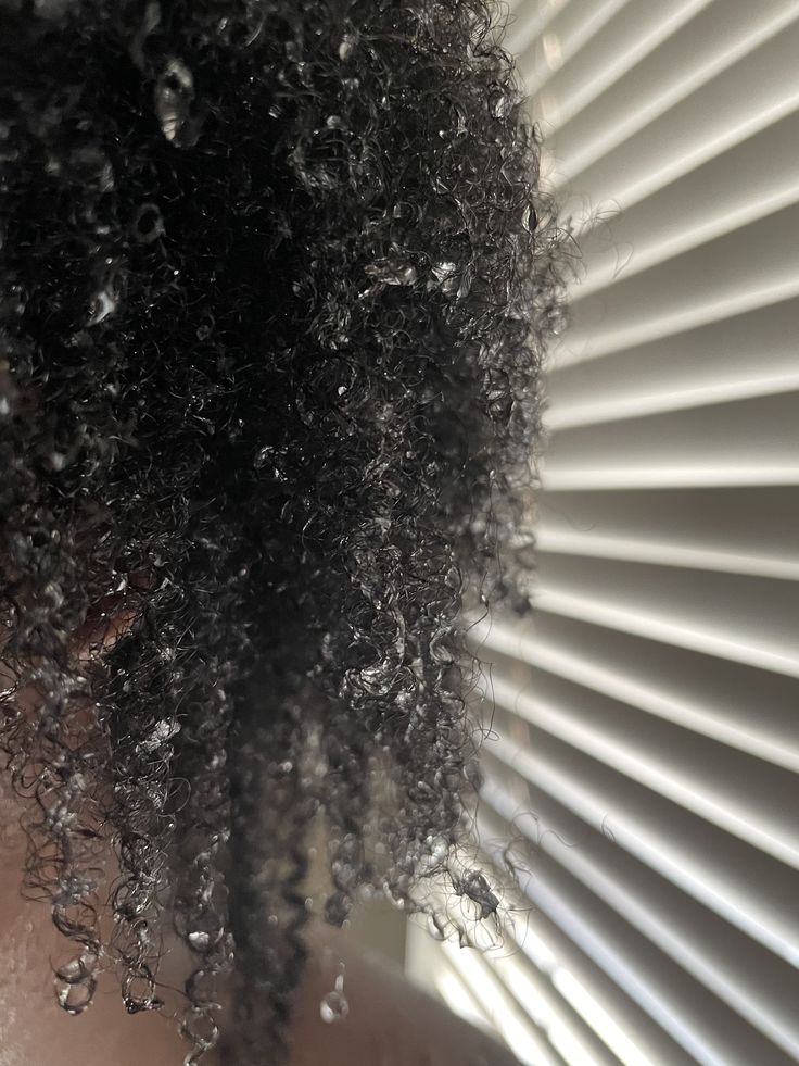 wet natural hair with visible curl pattern