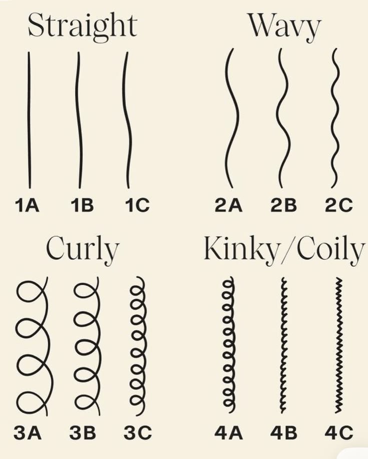 Hair typing chart showing Type 1, Type 2, Type 3 and Type 4 hair