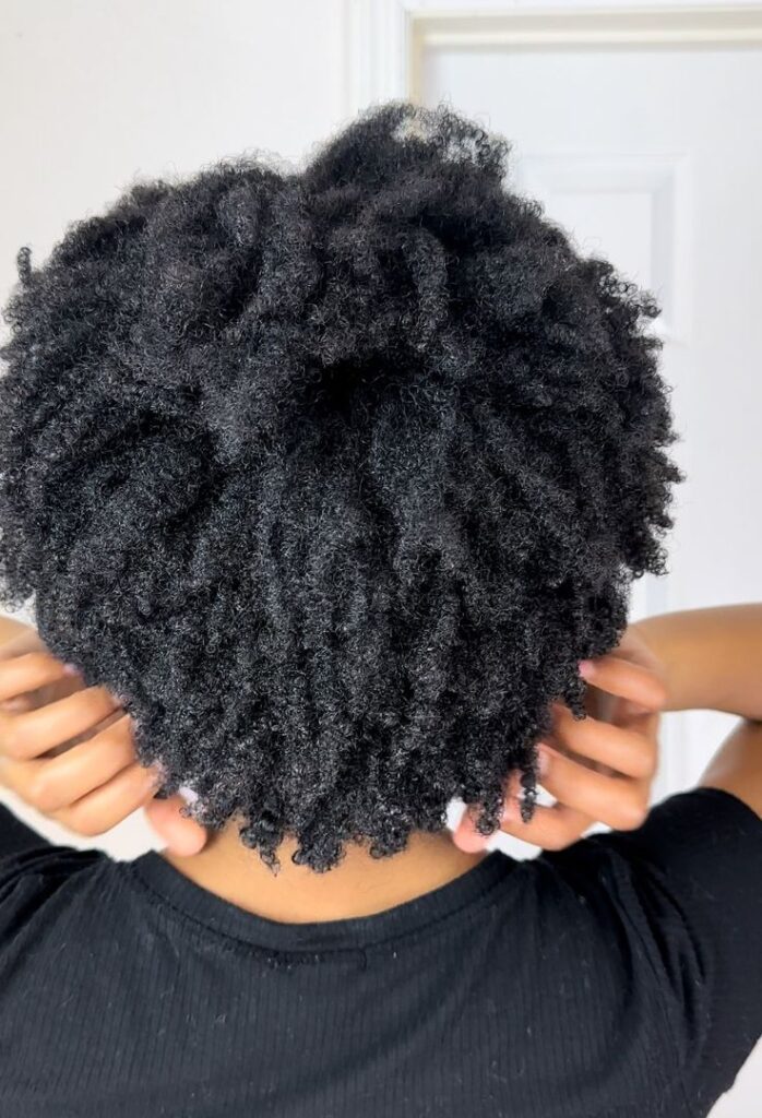 Everyday natural wash-and-go on healthy 4C hair.