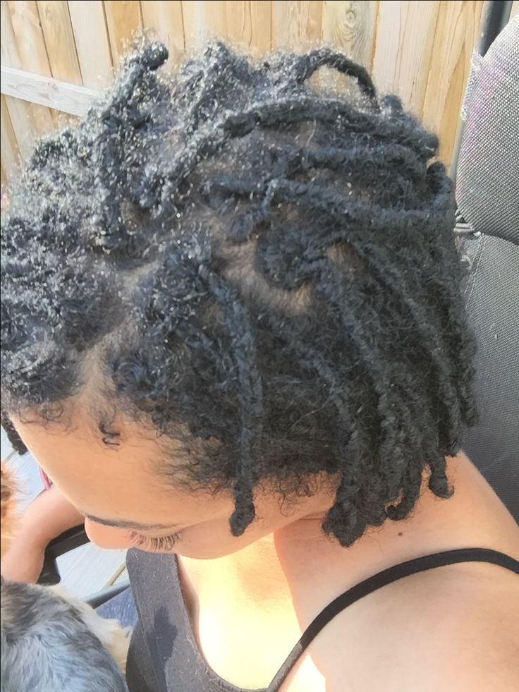 a starter loc looking frizzy