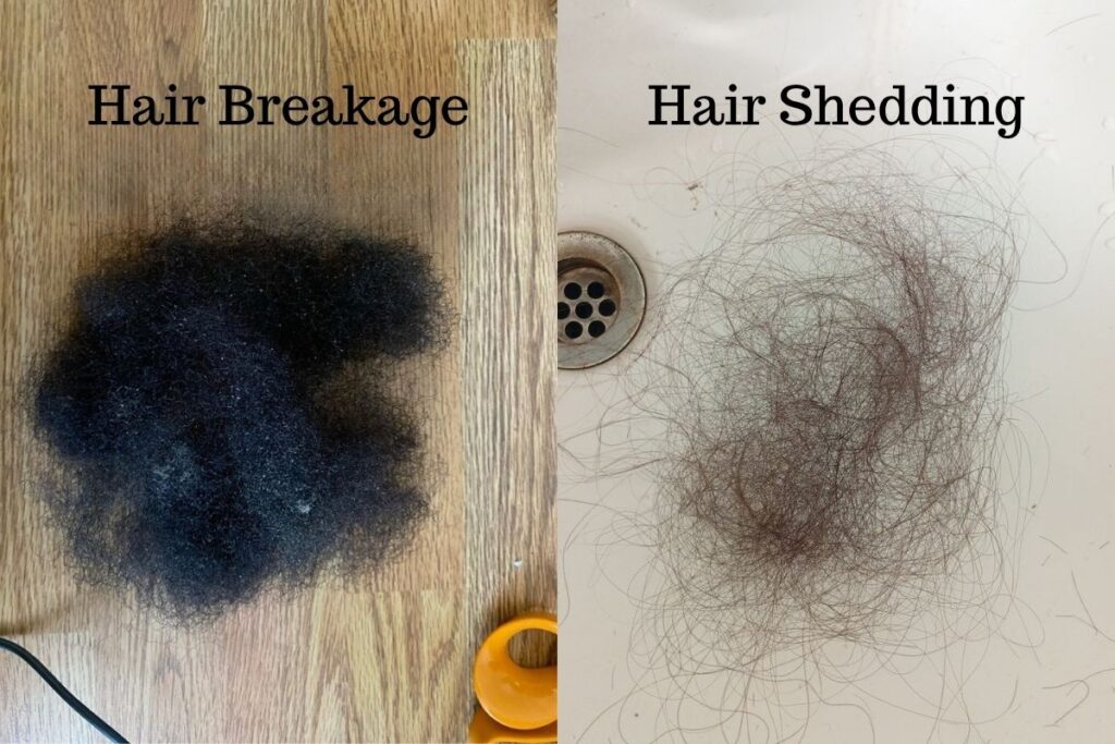 Comparison of hair breakage and normal shedding on natural 4C hair.