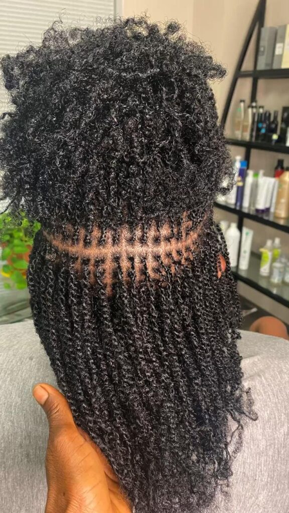 micro twist hairstyle
