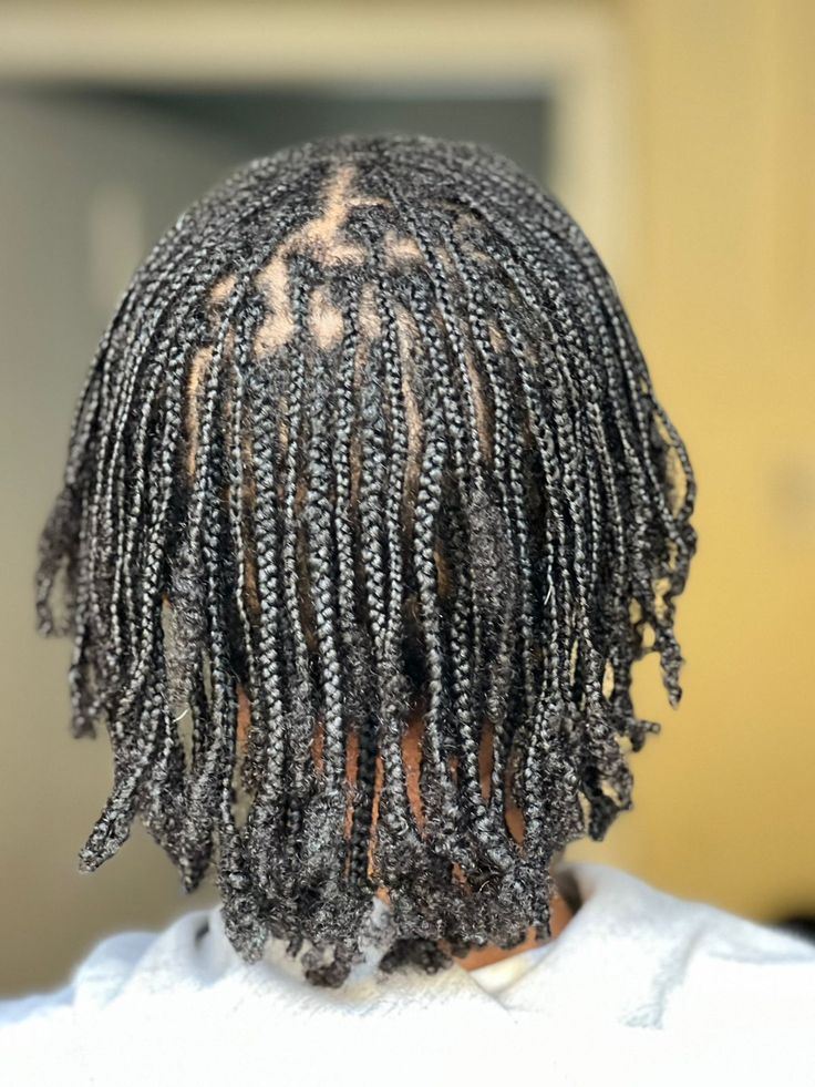mini braids on natural hair.