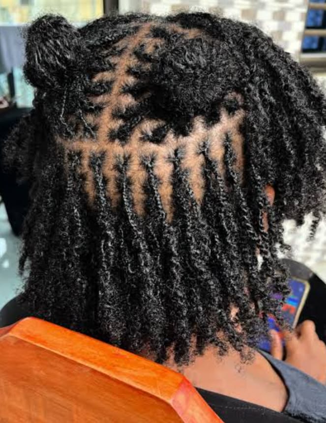 Starter locs created with two-strand twists on natural 4C hair.