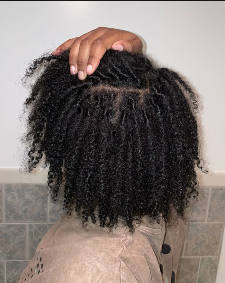 Close-up of healthy natural 4C starter locs showing tight coils beginning to lock.
