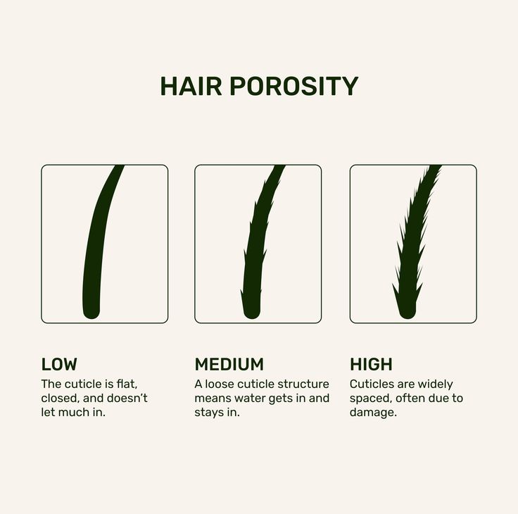 Comparison of low, medium, and high-porosity natural hair