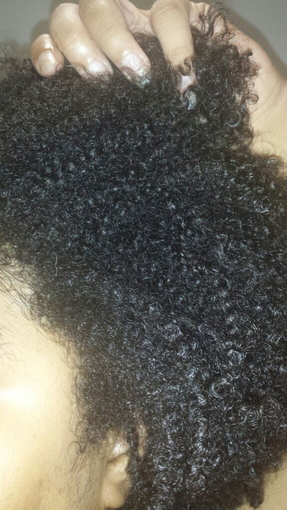 Natural 4C hair showing healthy roots and older ends with slightly different porosity.