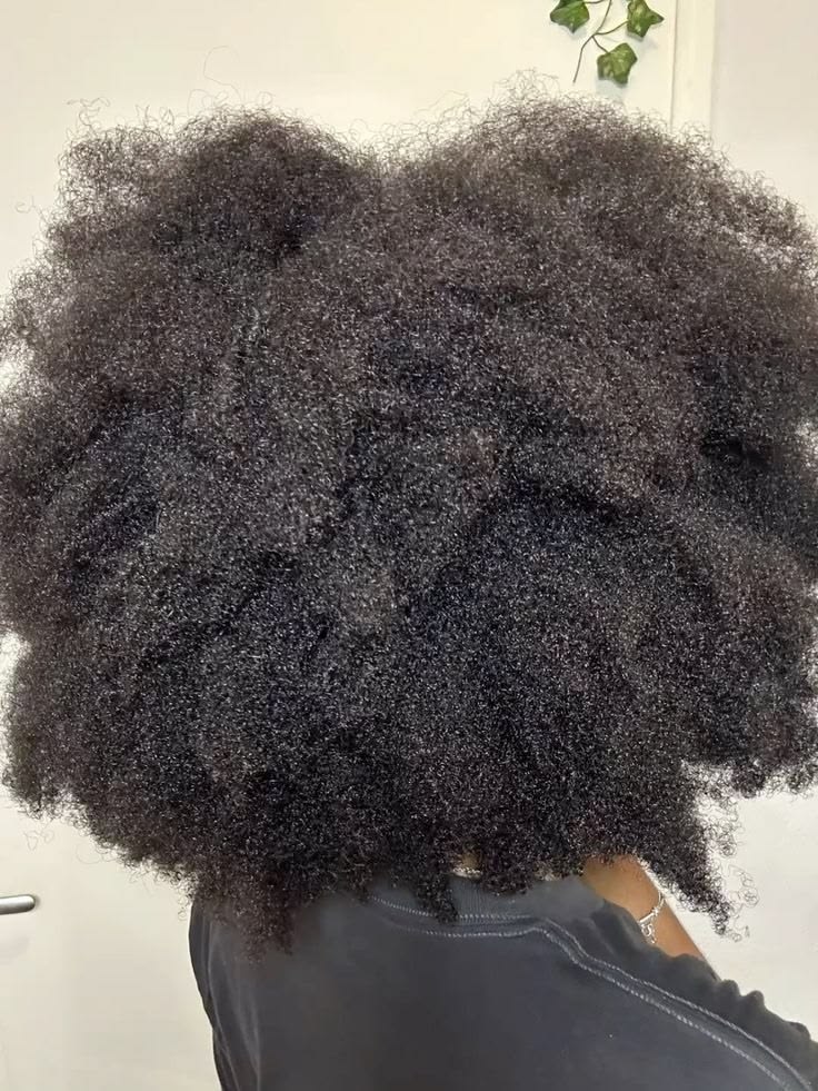 A dry hair before wash day