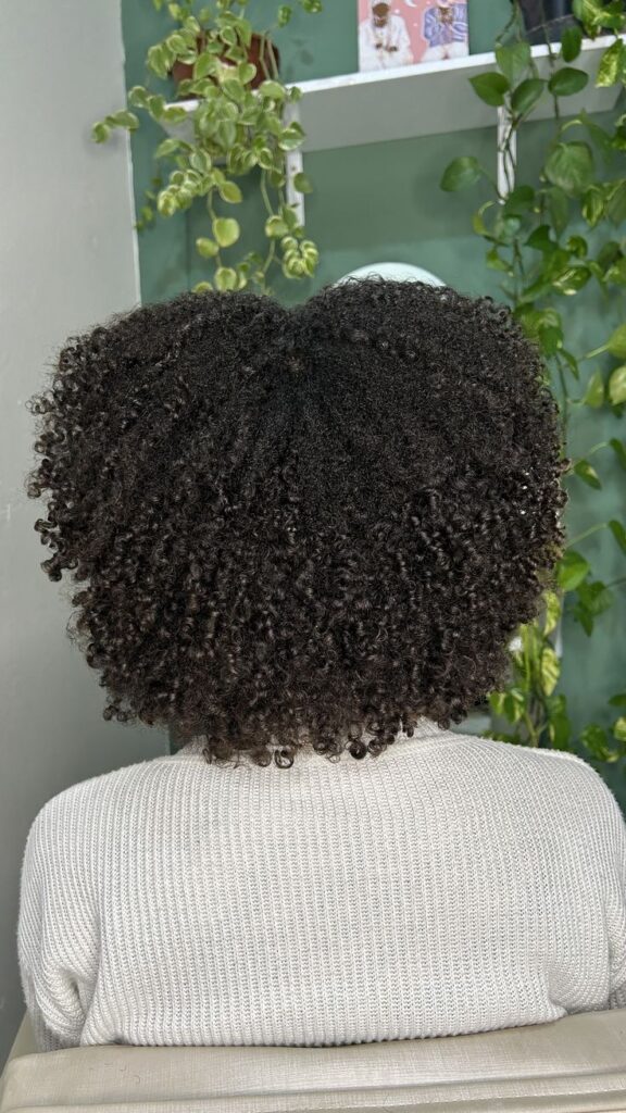 Healthy natural 4C hair showing improved moisture after consistent care.