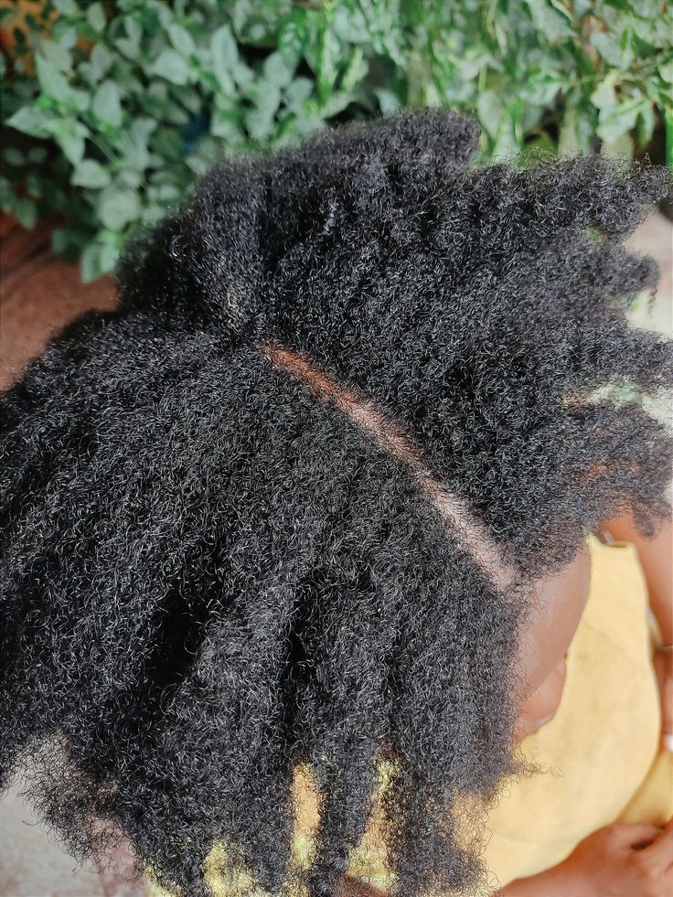 Healthy scalp beneath natural 4C hair