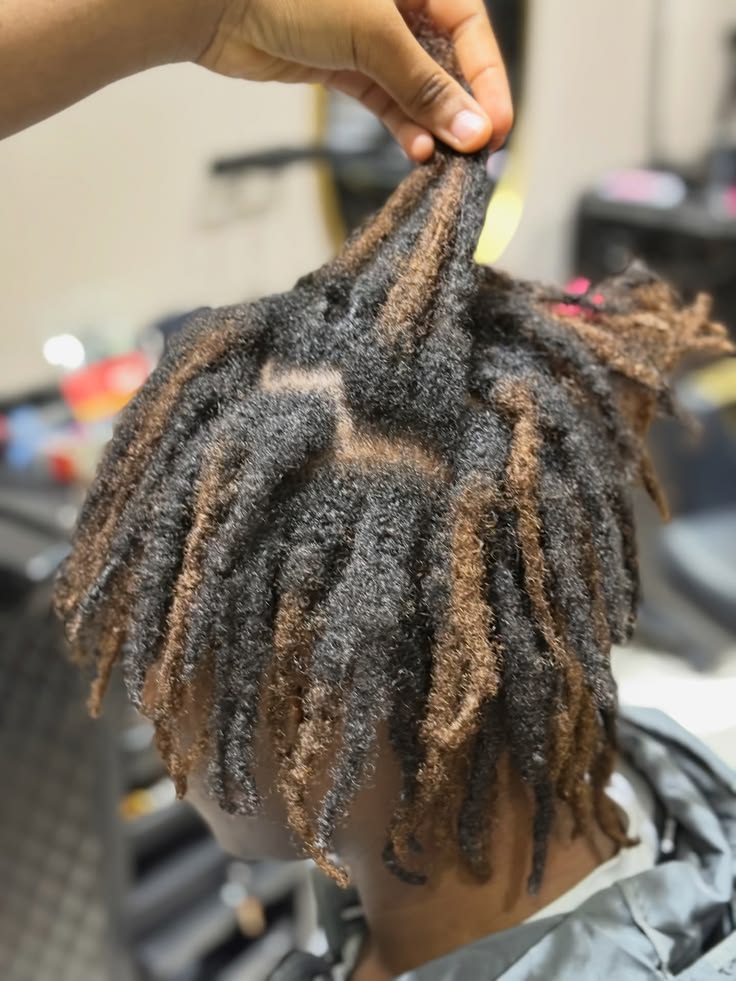 Healthy starter locs showing natural budding and frizz during the locking process.