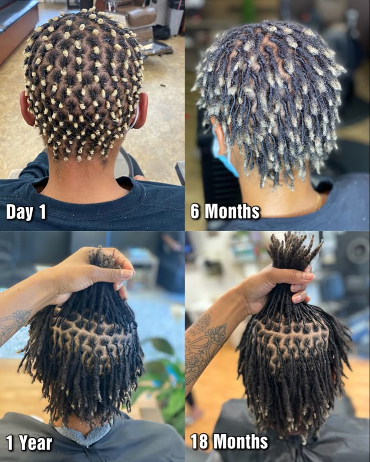 Healthy starter locs showing visible progress over several months.