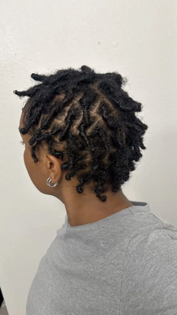 Starter locs on natural 4C hair during the early budding stage.