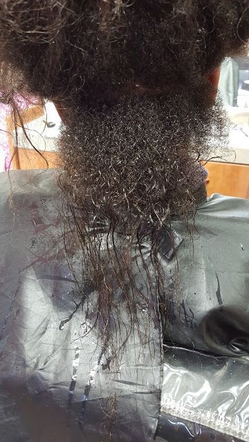Healthy natural 4C new growth during a successful transition from relaxed hair.