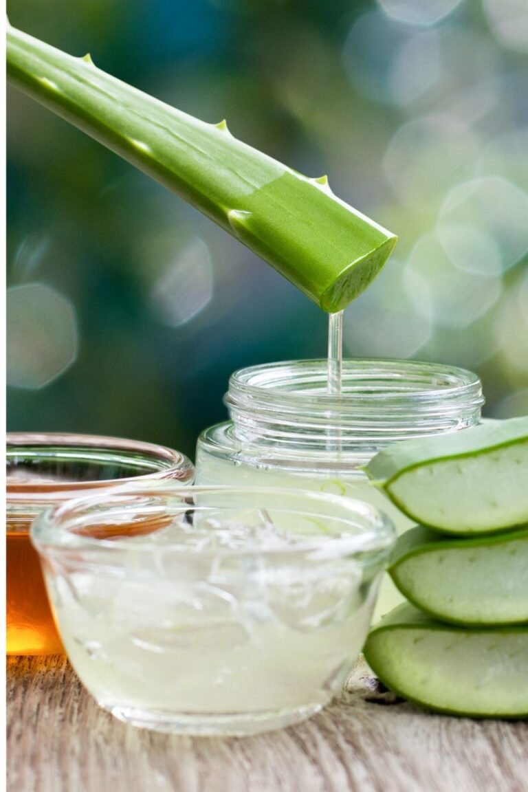DIY Aloe Vera Hair Treatments: Simple Ways to Care for Natural Hair
