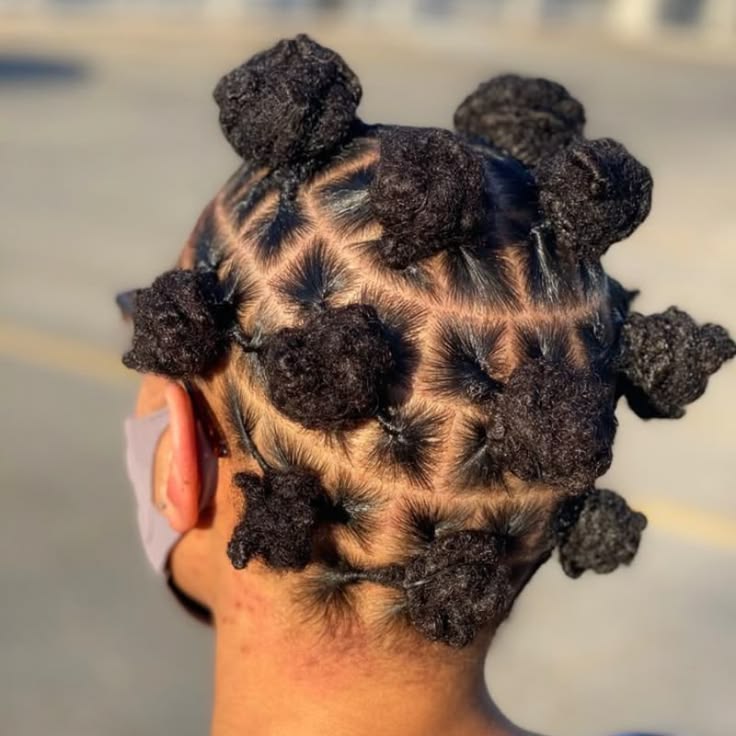Starter loc styled into neat bantu knots