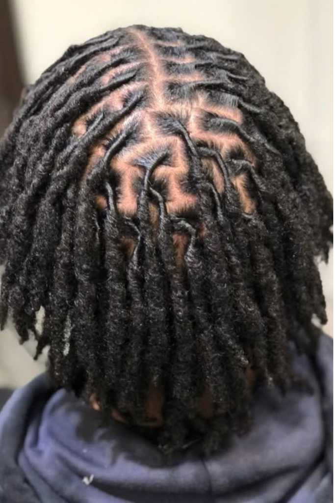 hair with locs