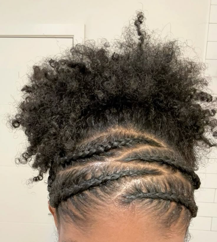 Elegant natural 4C puff hairstyle with a braided crown
