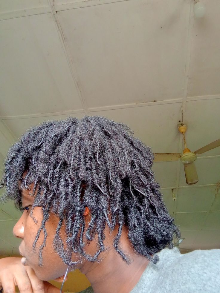 Budding starter locs developing on natural 4C hair