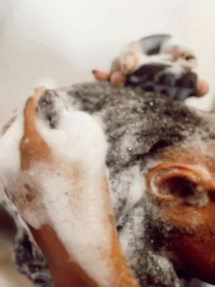 Woman clarifying natural 4C hair during a fall wash day