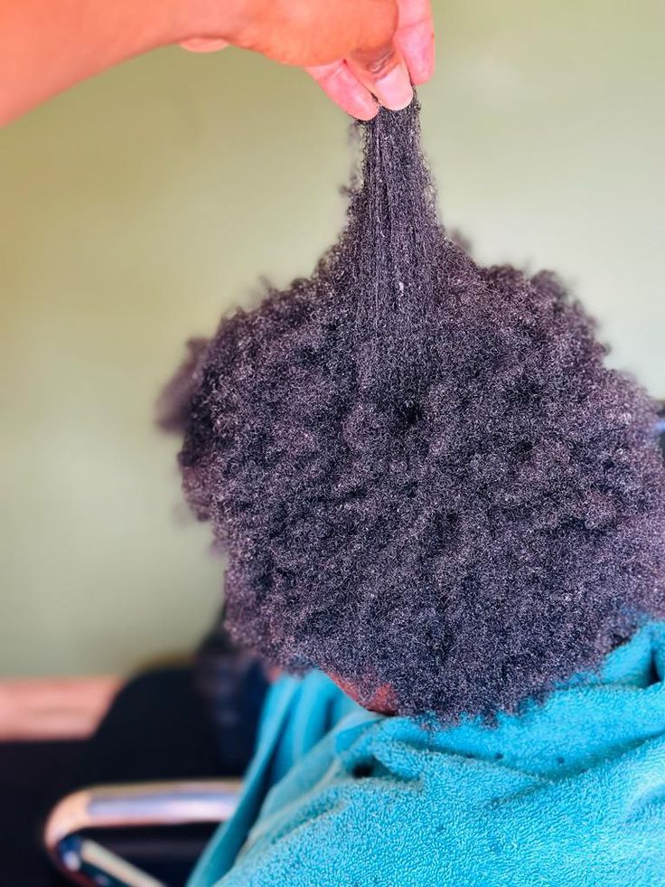 Loctician examining fine natural hair before a loc installation
