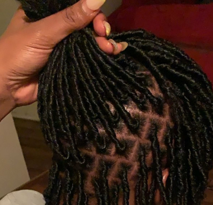 Healthy, mature starter loc with neatly maintained roots
