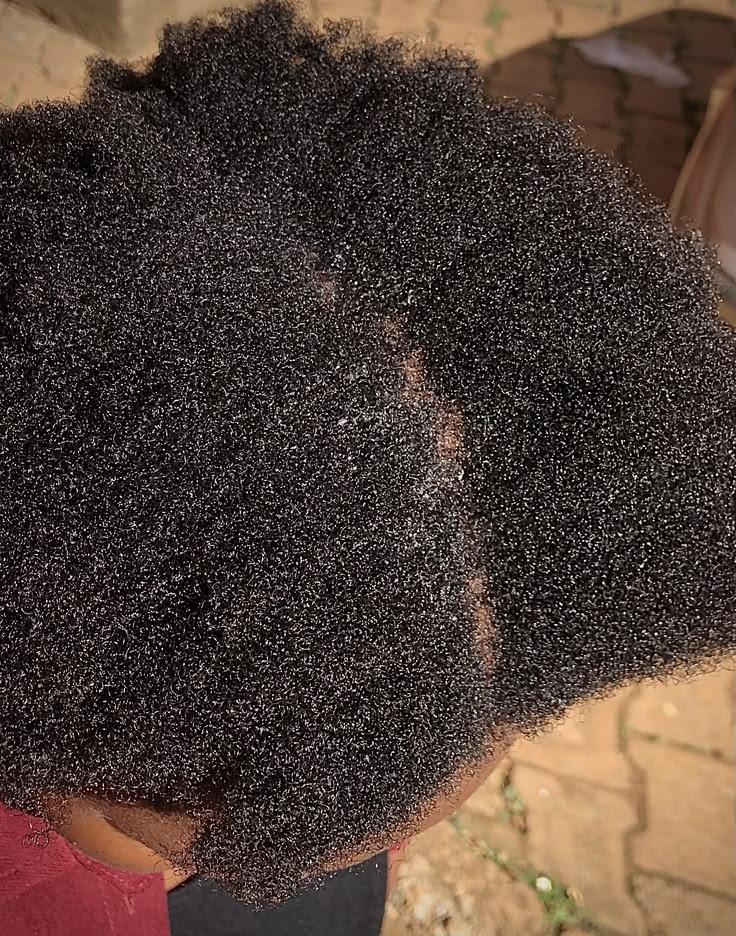 Clean natural hair prepared for a starter loc appointment