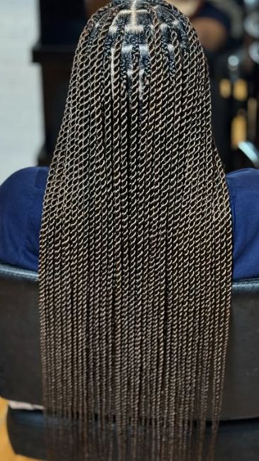 Senegalese twists protective hairstyle