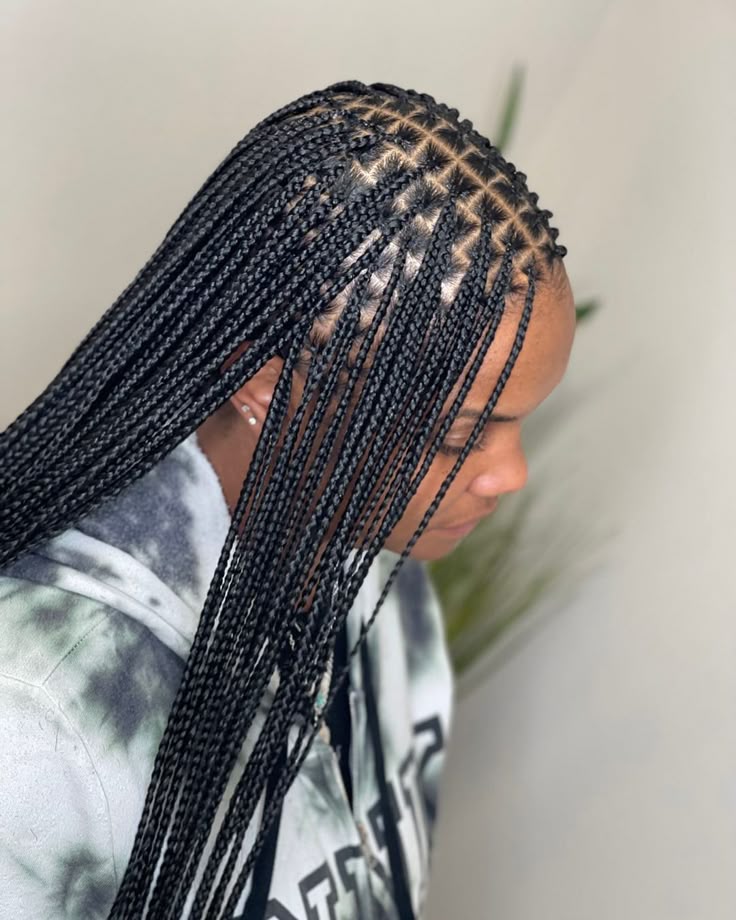 Small box braids protective hairstyle
