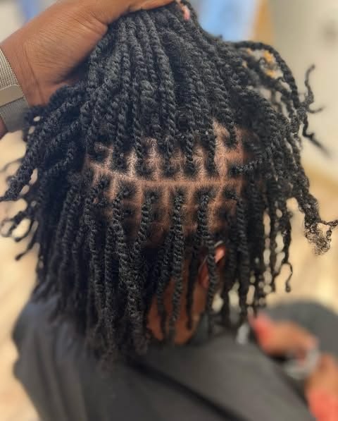 Two-strand twists used to start locs on 4C hair